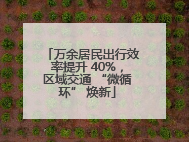 万余居民出行效率提升 40%，区域交通 “微循环” 焕新