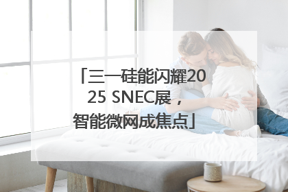 三一硅能闪耀2025 SNEC展，智能微网成焦点