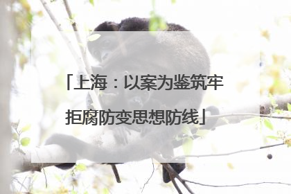 上海：以案为鉴筑牢拒腐防变思想防线