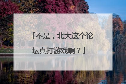 不是，北大这个论坛真打游戏啊？