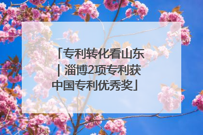 专利转化看山东｜淄博2项专利获中国专利优秀奖