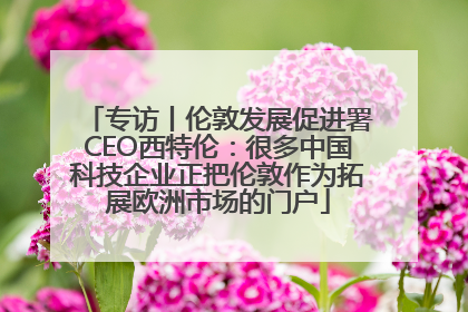 专访丨伦敦发展促进署CEO西特伦：很多中国科技企业正把伦敦作为拓展欧洲市场的门户