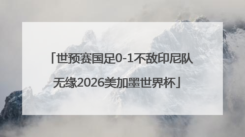 世预赛国足0-1不敌印尼队 无缘2026美加墨世界杯