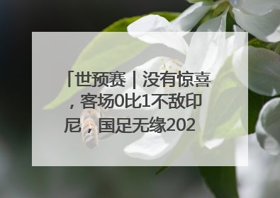 世预赛｜没有惊喜，客场0比1不敌印尼，国足无缘2026年世界杯