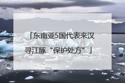 东南亚5国代表来汉寻江豚“保护处方”