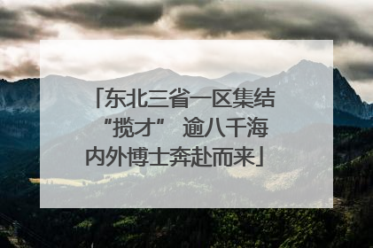 东北三省一区集结“揽才” 逾八千海内外博士奔赴而来