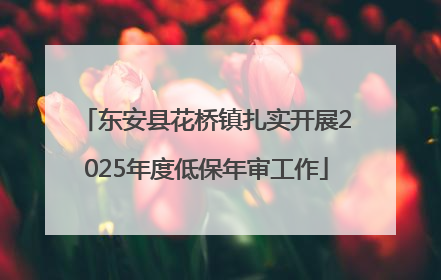 东安县花桥镇扎实开展2025年度低保年审工作
