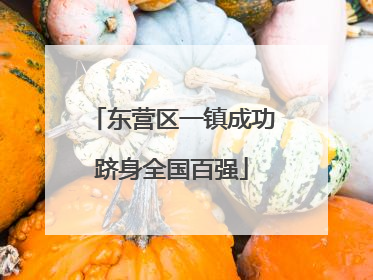 东营区一镇成功跻身全国百强