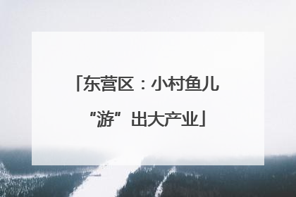 东营区：小村鱼儿“游”出大产业