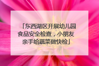 东西湖区开展幼儿园食品安全检查，小朋友亲手给蔬菜做快检