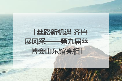 丝路新机遇 齐鲁展风采——第九届丝博会山东馆亮相