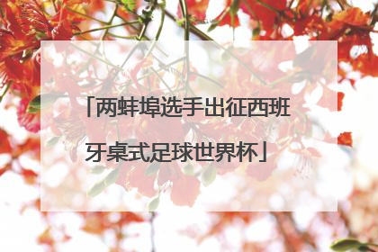 两蚌埠选手出征西班牙桌式足球世界杯