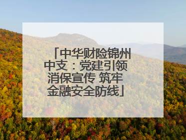 中华财险锦州中支：党建引领消保宣传 筑牢金融安全防线