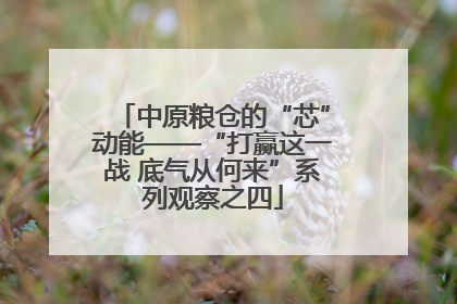 中原粮仓的“芯”动能——“打赢这一战 底气从何来”系列观察之四