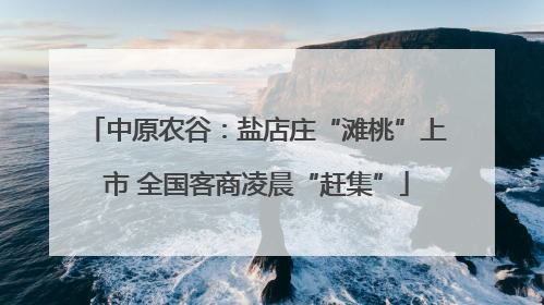 中原农谷：盐店庄“滩桃”上市 全国客商凌晨“赶集”