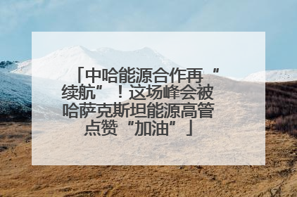 中哈能源合作再“续航”！这场峰会被哈萨克斯坦能源高管点赞“加油”