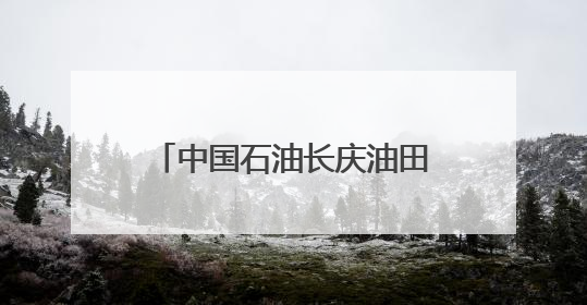 中国石油长庆油田采油十厂深化党建融合凝聚奋进力量