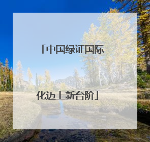中国绿证国际化迈上新台阶