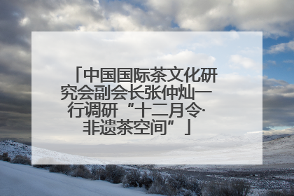 中国国际茶文化研究会副会长张仲灿一行调研“十二月令·非遗茶空间”