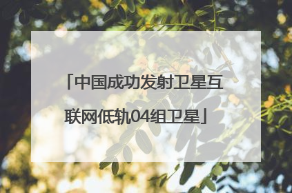 中国成功发射卫星互联网低轨04组卫星