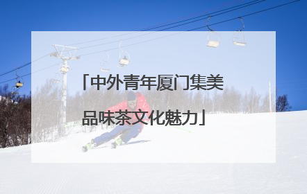 中外青年厦门集美品味茶文化魅力