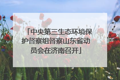 中央第三生态环境保护督察组督察山东省动员会在济南召开