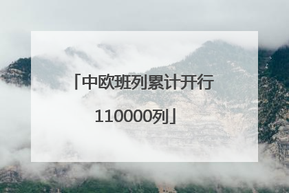 中欧班列累计开行110000列