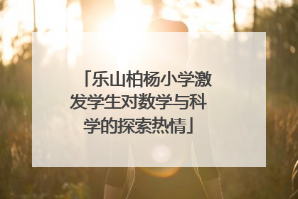 乐山柏杨小学激发学生对数学与科学的探索热情