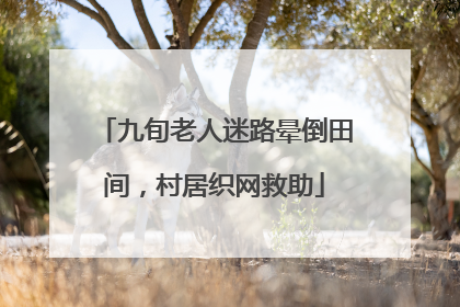 九旬老人迷路晕倒田间，村居织网救助