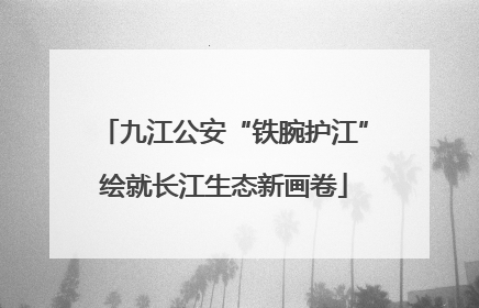 九江公安“铁腕护江”绘就长江生态新画卷