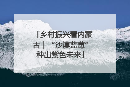 乡村振兴看内蒙古｜“沙漠蓝莓”种出紫色未来