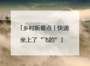 乡村新看点丨快递坐上了“飞的”
