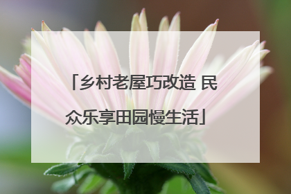 乡村老屋巧改造 民众乐享田园慢生活