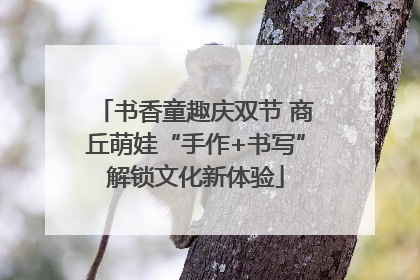 书香童趣庆双节 商丘萌娃“手作+书写”解锁文化新体验