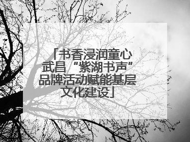 书香浸润童心 武昌“紫湖书声”品牌活动赋能基层文化建设