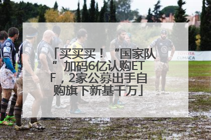买买买！“国家队”加码6亿认购ETF，2家公募出手自购旗下新基千万