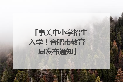 事关中小学招生入学！合肥市教育局发布通知