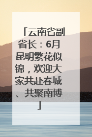 云南省副省长：6月昆明繁花似锦，欢迎大家共赴春城、共聚南博
