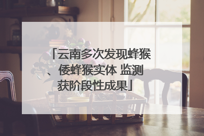 云南多次发现蜂猴、倭蜂猴实体 监测获阶段性成果