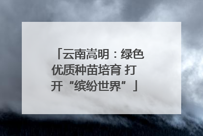 云南嵩明：绿色优质种苗培育 打开“缤纷世界”
