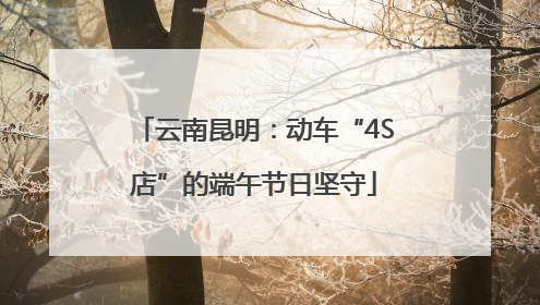 云南昆明：动车“4S店”的端午节日坚守