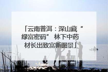云南普洱：深山藏“绿富密码” 林下中药材长出致富新图景