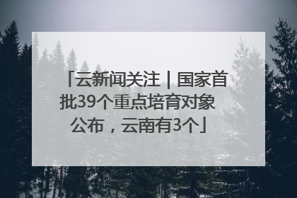 云新闻关注｜国家首批39个重点培育对象公布，云南有3个