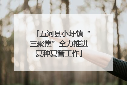 五河县小圩镇“三聚焦”全力推进夏种夏管工作