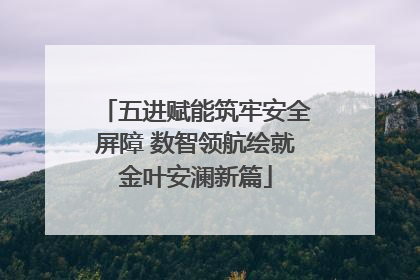 五进赋能筑牢安全屏障 数智领航绘就金叶安澜新篇