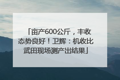 亩产600公斤，丰收态势良好！卫辉：机收比武田现场测产出结果