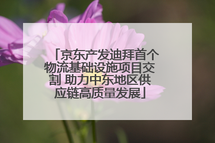 京东产发迪拜首个物流基础设施项目交割 助力中东地区供应链高质量发展