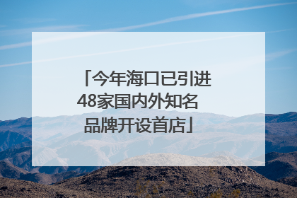 今年海口已引进48家国内外知名品牌开设首店