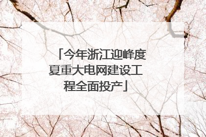 今年浙江迎峰度夏重大电网建设工程全面投产