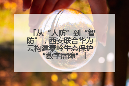 从“人防”到“智防”，西安联合华为云构建秦岭生态保护“数字屏障”